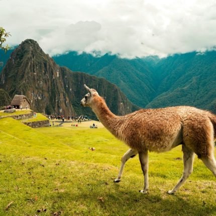 Kombireise Peru und Ecuador