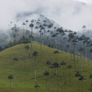 Kombireise Kolumbien und Peru