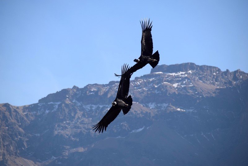 Machu Picchu Rundreise - Archäologie und Natur