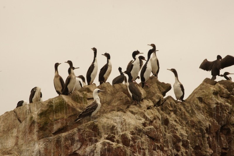 3 Wochen Peru Explorer Rundreise