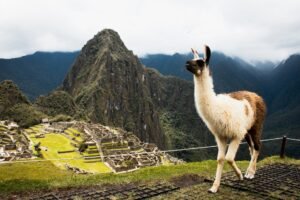 Machu Picchu Mountain 1 - Peru Individual