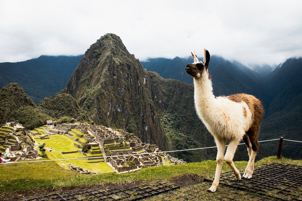 Machu Picchu Mountain