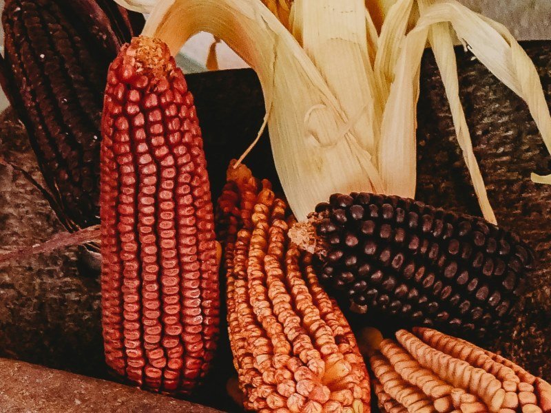 Peru Essen Gerichte Getraenke26 - Peru Individual