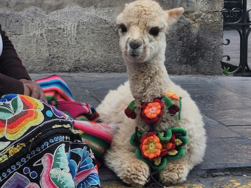 Kombireise Costa Rica und Peru