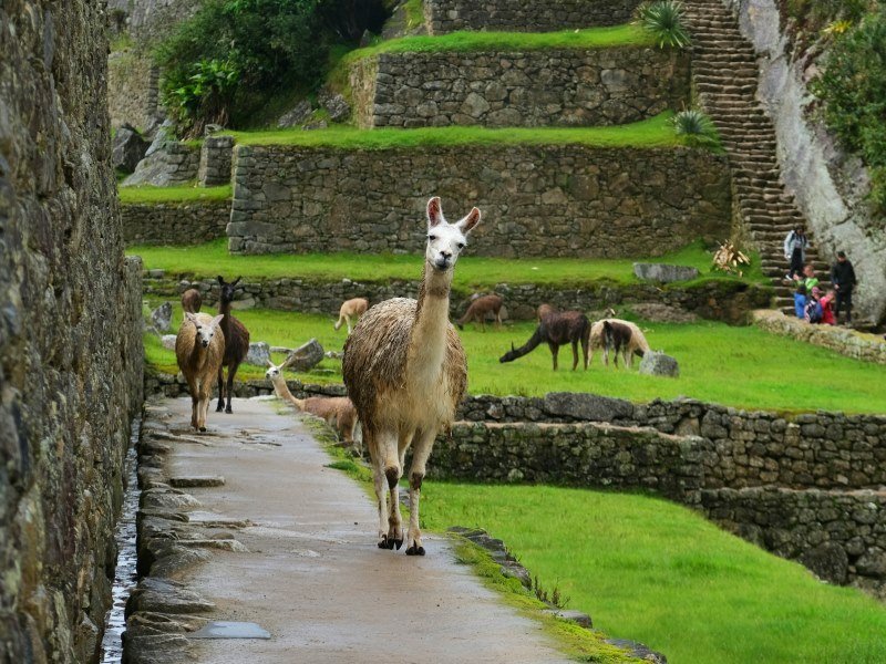 Machu Pichu 4 1 - Peru Individual