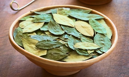 coca natural medicine 2 9 - Peru Individual